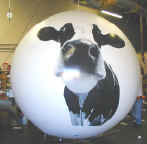 ball-digital-cow.jpg (21573 bytes)