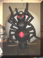dancingspider.jpg (36604 bytes)